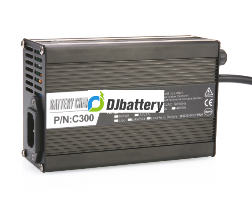 120W-240W Charger for Electric Vehicles