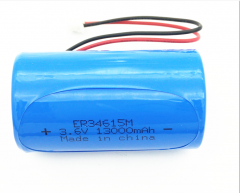 ER34615M-10.8V 26AH LiSOCl2 battery pack